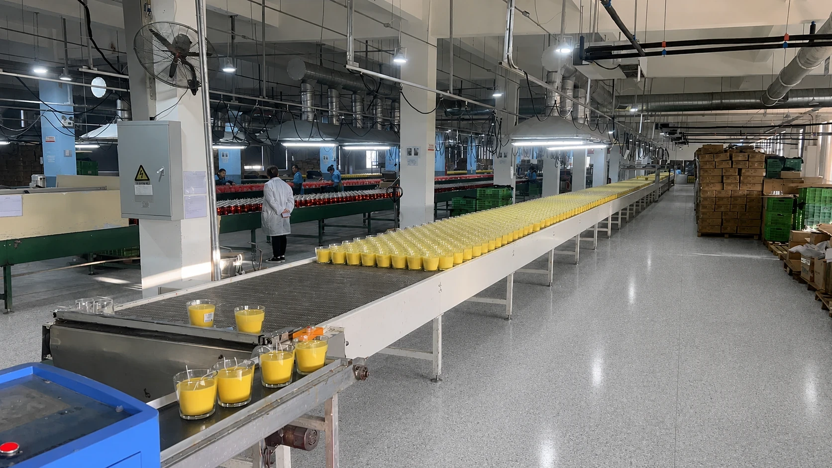 LIDU real candle production line